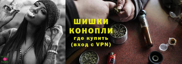 прущие грибы Нефтегорск