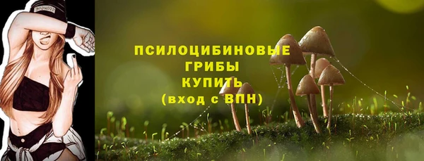 прущие грибы Нефтегорск
