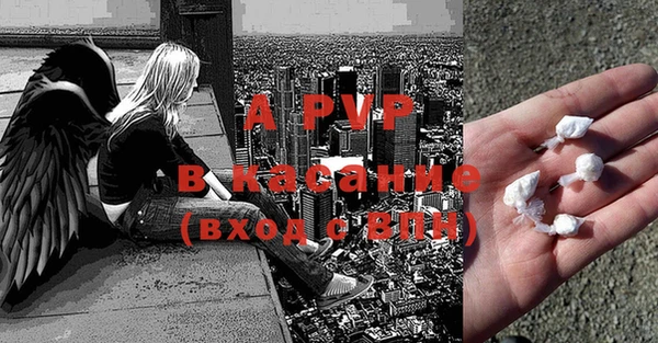 прущие грибы Нефтегорск