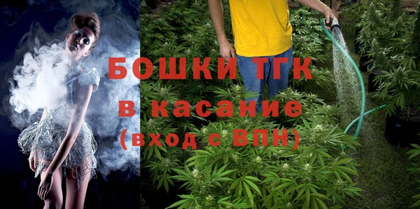 прущие грибы Нефтегорск
