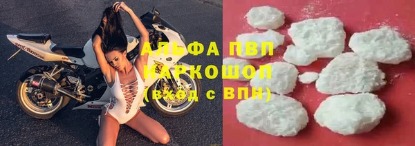прущие грибы Нефтегорск